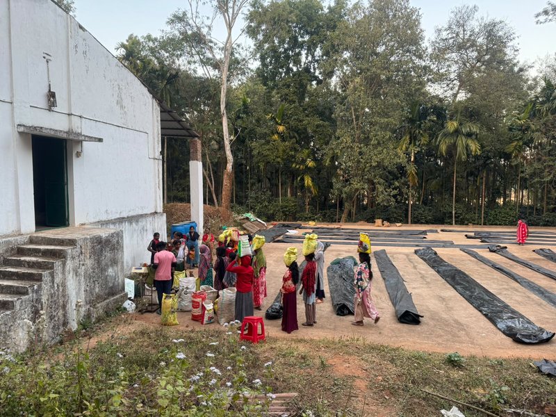Farmers queuing at processing station scale