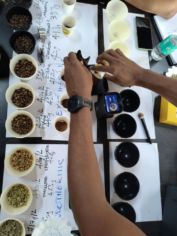 Cupping and quality assessment in laboratory